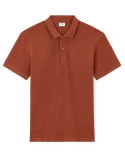 Polo recht 100% katoen - bruin