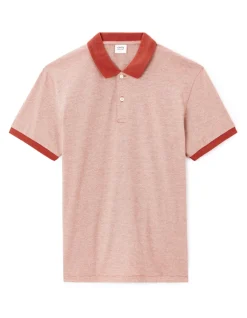 Polo regular 100% katoen - bruin