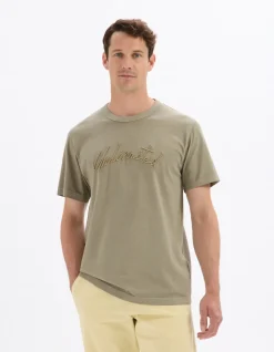 T-shirt Boxy fit Ronde hals 100% katoen - lauriergroen